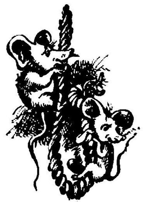 Викрадення в Тютюрлістані - image058.jpg