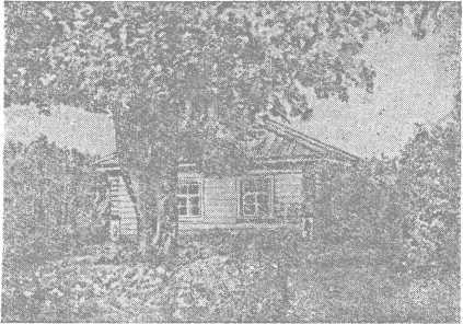 Ветка Лауры - i_041.jpg