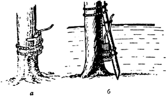 Спутник партизана - i_012.jpg