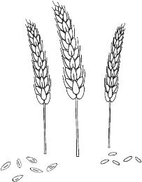 Родители-путеводители. Как проложить маршрут счастливого детства - i_013.png