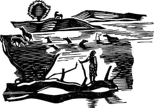 Книга о Башкирии<br />(Рассказы) - i_011.jpg