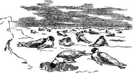 Фритьоф Нансен<br />(Его жизнь и необыкновенные приключения) - i_006.jpg