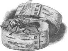 Старинные эстонские народные сказки - i_067.jpg