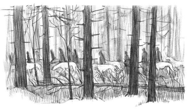 Чудовы луга (СИ) - img32.jpg