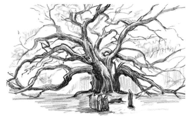 Чудовы луга (СИ) - img2.jpg