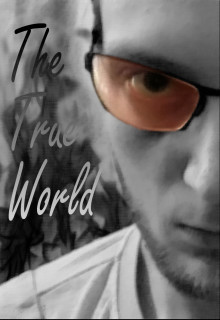Книга Истинный мир (СИ)