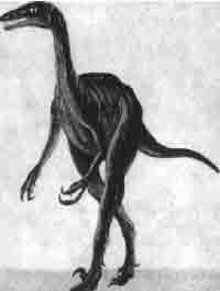 Трагическое послание древних - any2fbimgloader133.jpeg