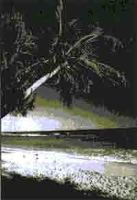 Трагическое послание древних - any2fbimgloader152.jpeg