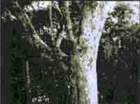 Трагическое послание древних - any2fbimgloader153.jpeg