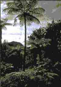 Трагическое послание древних - any2fbimgloader155.jpeg