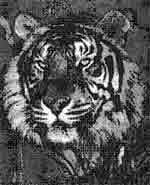 Трагическое послание древних - any2fbimgloader405.jpeg