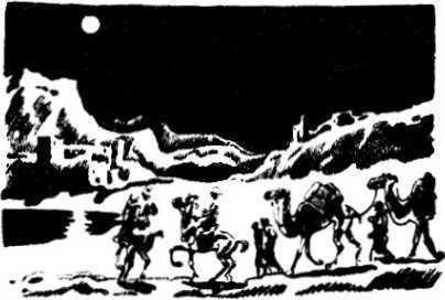 Бктриана<br />(Затерянные миры. Т. XXII) - i_019.jpg