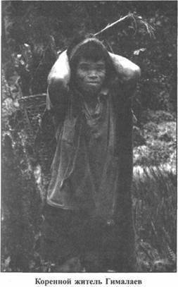 Золотые пластины Харати - any2fbimgloader131.jpeg