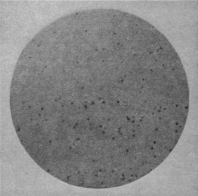 Электронный микроскоп - i_014.jpg