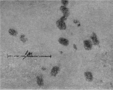 Электронный микроскоп - i_015.jpg