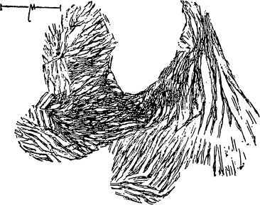 Электронный микроскоп - i_016.jpg