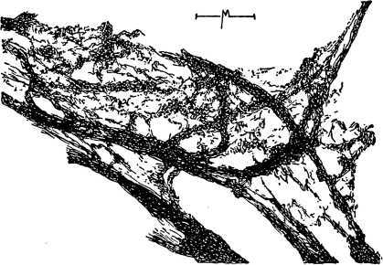 Электронный микроскоп - i_017.jpg