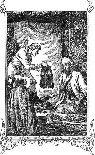 Под стягом Святослава<br />(Историческая повесть) - i_011.jpg