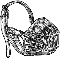 Белый пудель. Дневник фокса Микки. С вопросами и ответами для почемучек - i_012.png