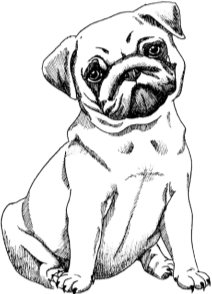 Белый пудель. Дневник фокса Микки. С вопросами и ответами для почемучек - i_013.png