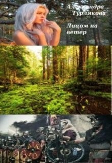 Книга Лицом на ветер (СИ)