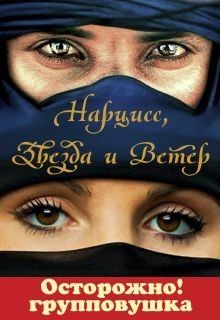 Книга Нарцисс, Звезда и Ветер (СИ)
