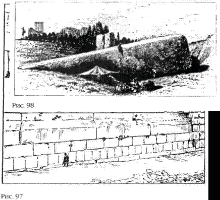 Лестница в небо. В поисках бессмертия - i_096.png