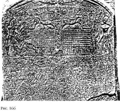Лестница в небо. В поисках бессмертия - i_167.jpg