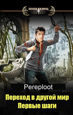 Читать онлайн книгу Переход в другой мир. Первые шаги (СИ) автор Книга Переход в другой мир. Первые шаги (СИ)