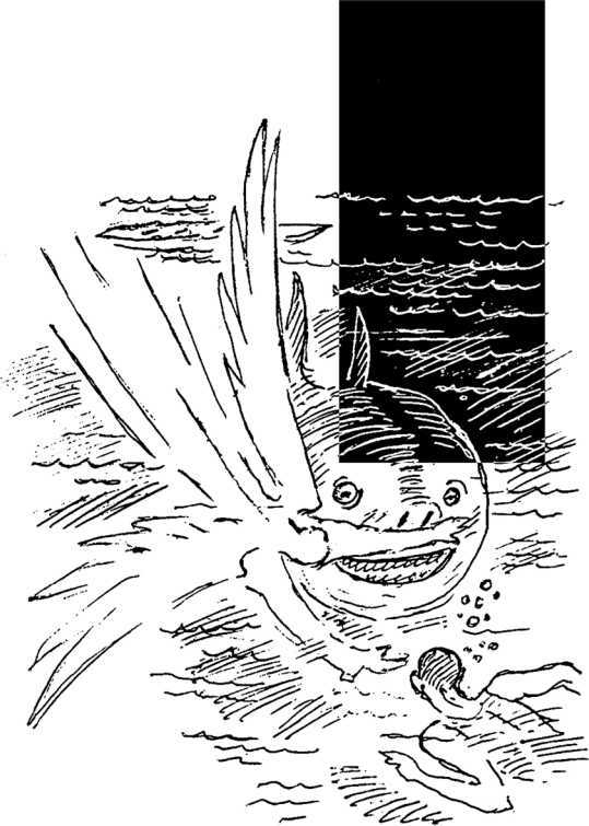 Сказки человека, который дружил с драконом - i_048.jpg