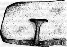 Потерянные царства - pic_108.jpg