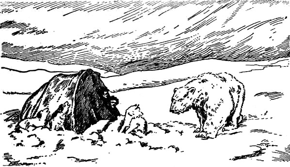 Завоевание полюсов - i_007.jpg