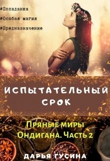 Книга Испытательный срок. (СИ)