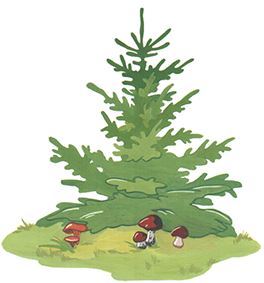 А к двери идет Стихоша - i_019.jpg