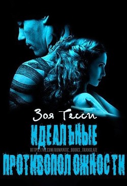 Книга Идеальные противоположности (ЛП)