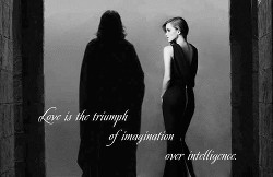 Книга Во благо Ордена Феникса (ЛП)