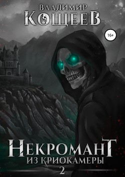 Книга НиК 2 (СИ)