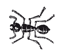 Книга, которую читают все - i_044.png