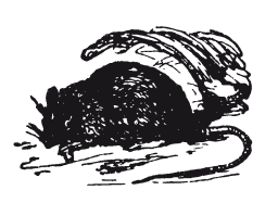 Книга, которую читают все - i_045.png