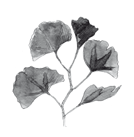 Книга, которую читают все - i_086.png
