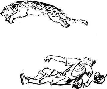 Тайна Гремящей расщелины<br />(Научно-фантастические рассказы и повести) - i_013.jpg