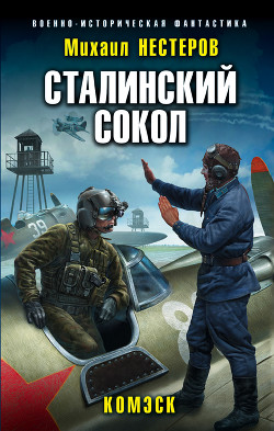 Книга Сталинский сокол. Комэск
