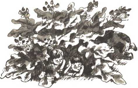 Тореадоры из Васюковки<br />(Повести) - i_004.jpg