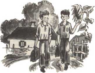 Тореадоры из Васюковки<br />(Повести) - i_007.jpg