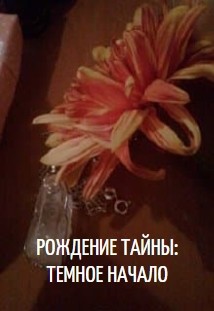 Книга Рождение Тайны: Темное начало (СИ)
