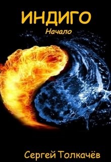 Книга Индиго. Начало (СИ)