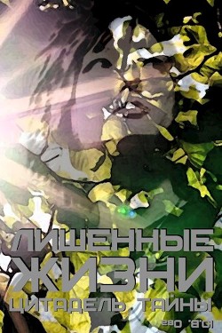 Книга Цитадель тайны (СИ)