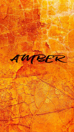 Читать онлайн книгу Amber автор Саливан Виктория Книга Amber