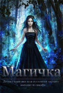 Книга Летняя практика (СИ)