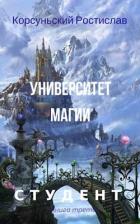 Книга Университет магии (СИ)